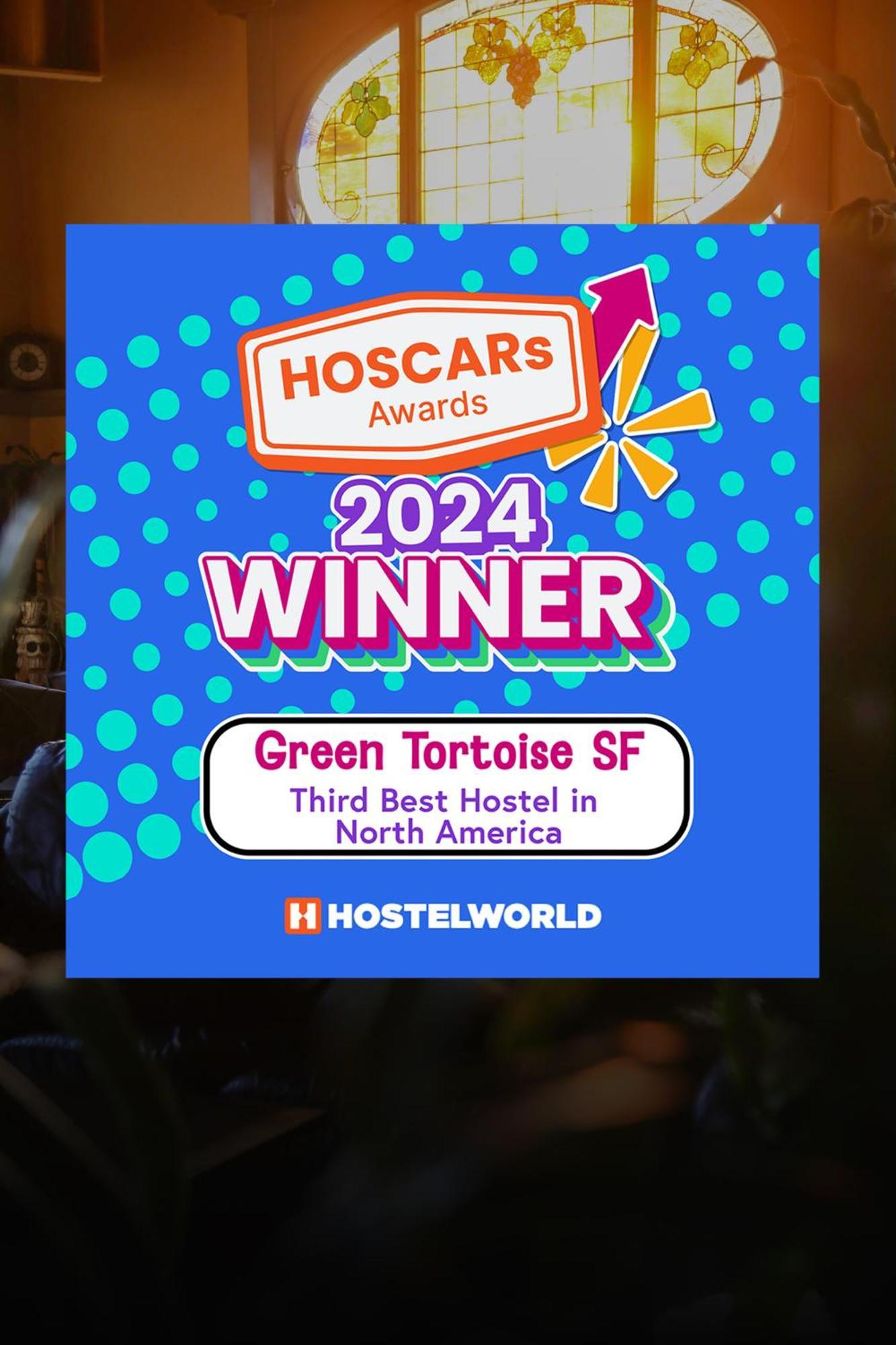 Tortoise Hostal *